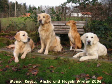 Momo, Kayou, Alisha und Nayeli Winter 2006